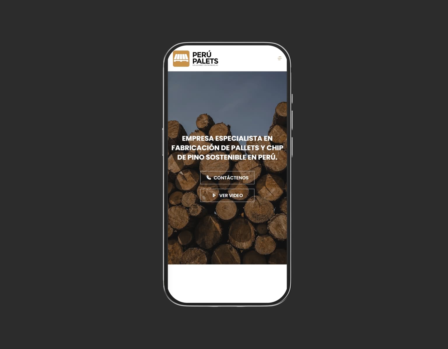 Diseño visual de Peru Palets - Vista 2